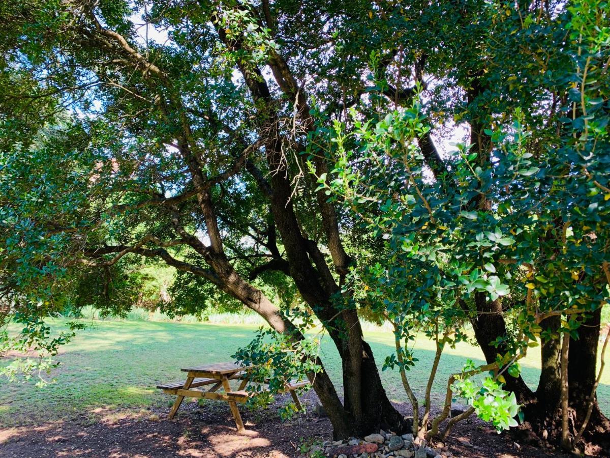 Domaine Des Ondes Gasthuis Millau